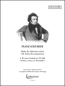 Terzetto (Schubert) For Male Voice Choir with Guitar
