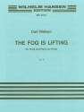 The Fog is lifting op.41: for flute and piano