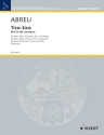 Tico-Tico f�r Fl�te, Oboe, Klarinette in B, Horn in F und Fagott Partitur und Stimmen