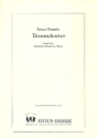 Traumdeuter f�r Mandoline (Dulcimer) und Gitarre