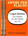 Trio brillant D-Dur op.30 f�r 3 Fl�ten Stimmen