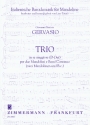 Trio D-Dur f�r 2 Mandolinen und Bc Stimmen
