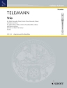 Trio d-Moll f�r Alt-Blockfl�te (Fl�te), Violine (Tenor-Blockfl�te, Oboe) und Basso
