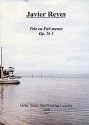Trio fis-Moll op.2,1 f�r Fl�te, Gitarre und Violoncello Partitur und Stimmen