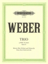Trio g-Moll op.63 f�r Fl�te, Violoncello und Klavier