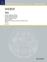Trio g-Moll op. 63 WeV P.14 f�r Fl�te, Violoncello und Klavier Partitur und Stimmen