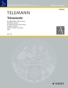 Triosonate a-Moll f�r Alt-Blockfl�te, Oboe (Violine) und Basso continuo, Violoncello (Vi