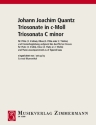 Triosonate c-Moll f�r 2 Fl�ten und Klavier