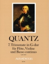 Triosonate G-Dur Nr.7 QV2:29 f�r Fl�te, Violine (2 Fl�ten) und Bc