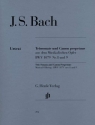 Triosonate und Canon perpetuus aus dem Musiklaischen Opfer BWV1079,8-9 f�r Fl�te, Violine und Bc