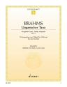 Ungarischer Tanz Nr.5 f�r Klavier zu 4 H�nden