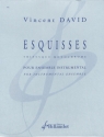 Vincent David, Esquisses ORCHESTRA PARTITUR + STIMMEN